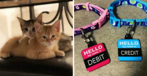 Meet Debit And Credit, That Are Going Viral On Instagram