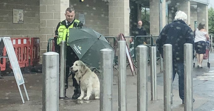 Security Guard Protects Dog With His Umbrella During Downpour And The Photo Goes Viral - 1